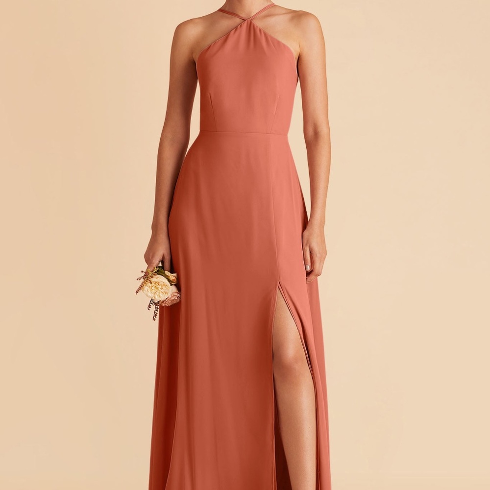 Birdy Grey Juliet Chiffon Bridesmaid Dress - Terracotta XS